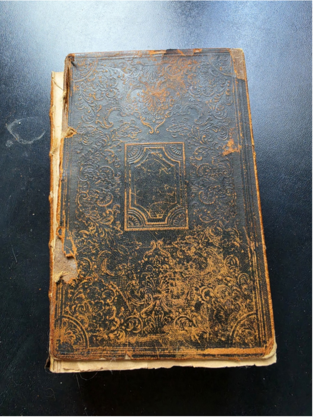 1854 Holy Bible Family Records LOWE DAMON Genealogy Pre Civil War Antique Book